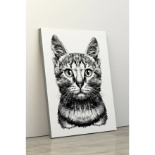 PINDU Obraz na plátně Kočka