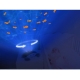ZAZU Krab Cody Projektor oceánu s melodiemi